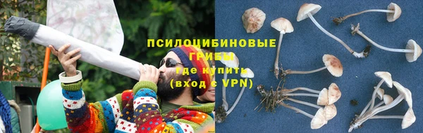 герыч Пестово