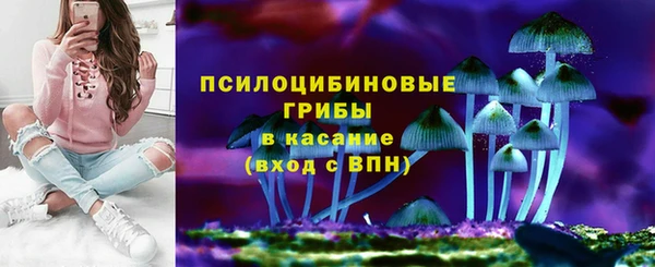 герыч Пестово