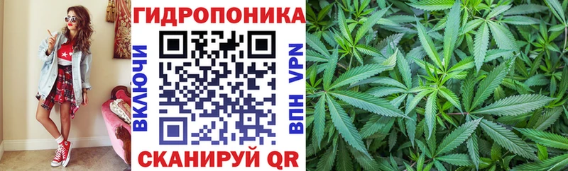 Канабис AK-47  где купить   Бородино 